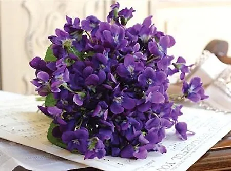 Appartement Cosy Dans Maison Proche Mett Tram *